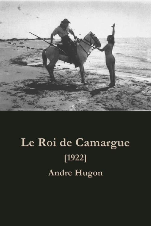 Le roi de Camargue poster