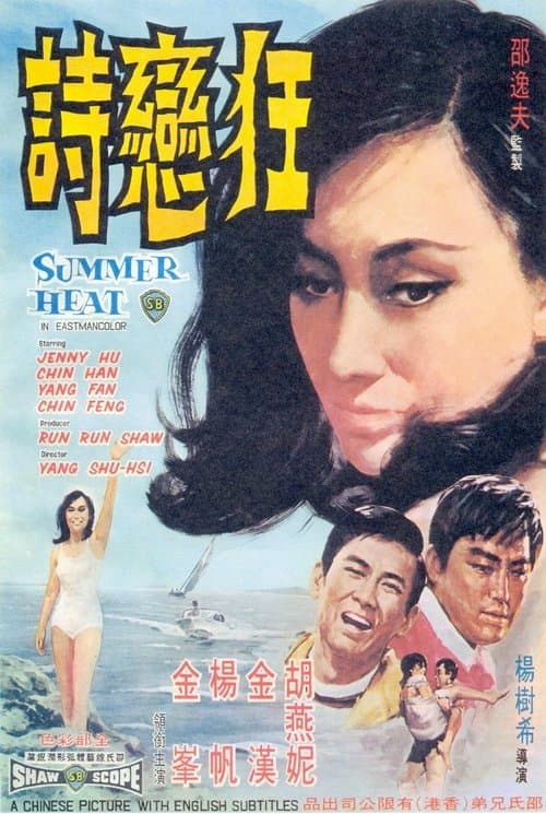 狂戀時 poster
