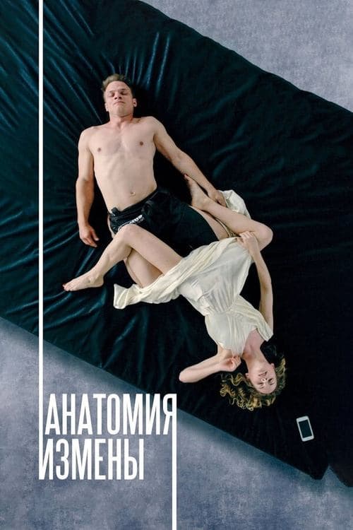 Анатомия измены poster