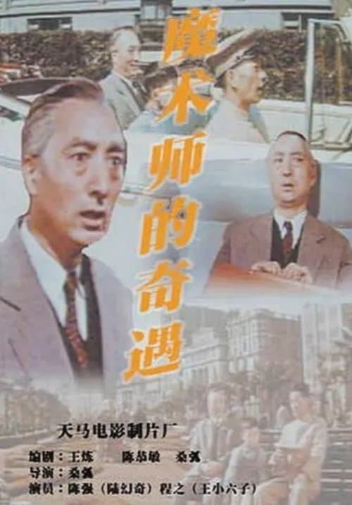 魔术师的奇遇 poster