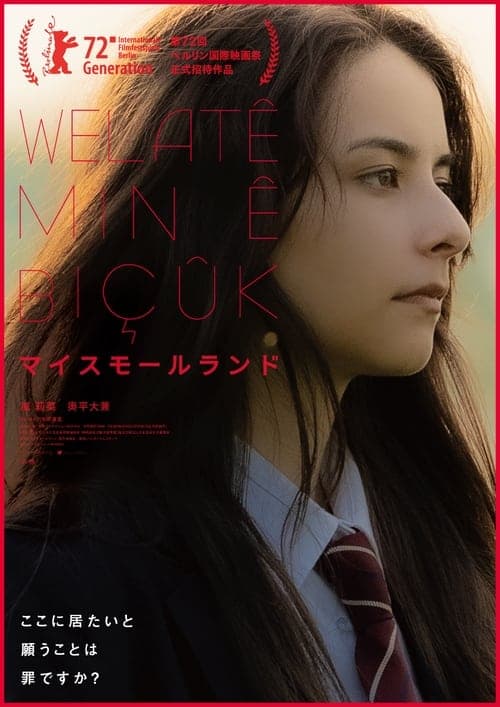マイスモールランド poster