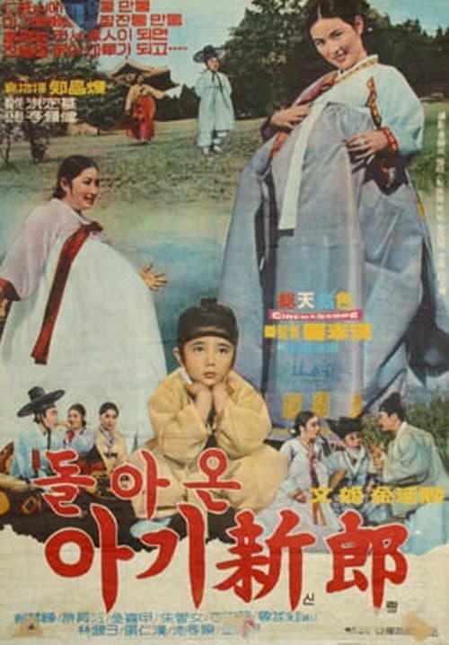 돌아온 아기신랑 poster