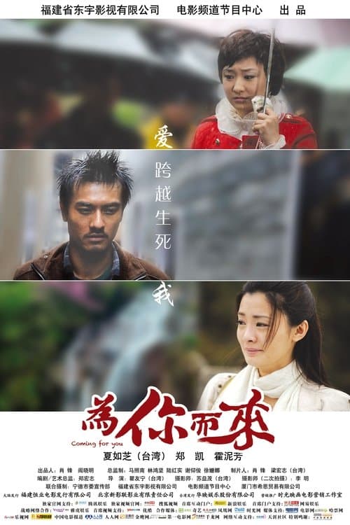 为你而来 poster