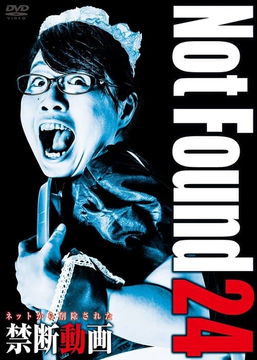 ネットから削除された禁断動画24 poster
