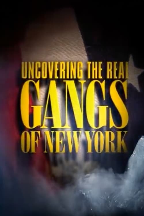 Die Wahren Gangs of New York poster