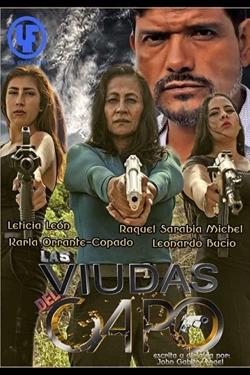 Las Viudas del Capo poster