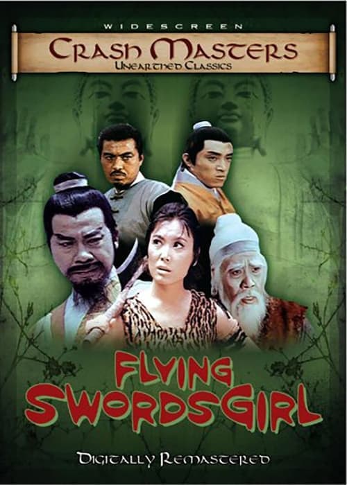 女飛俠 poster