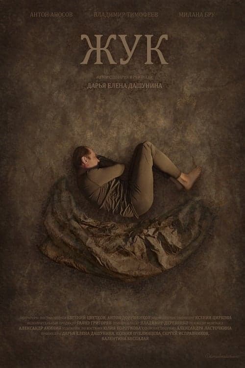 Жук poster