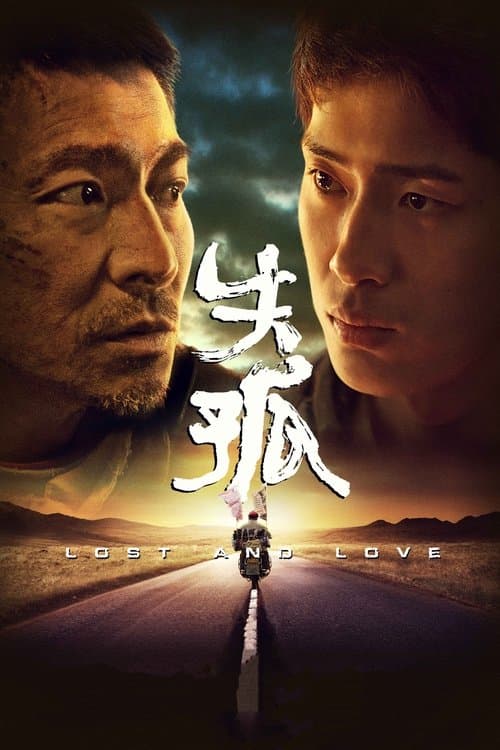 失孤 poster