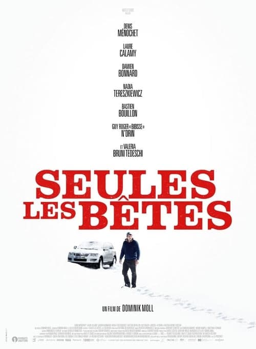Die Verschwundene poster