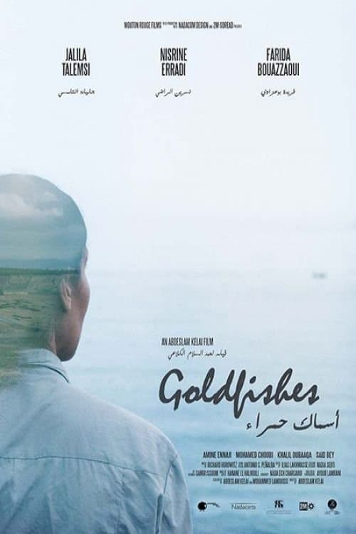 أسماك حمراء poster