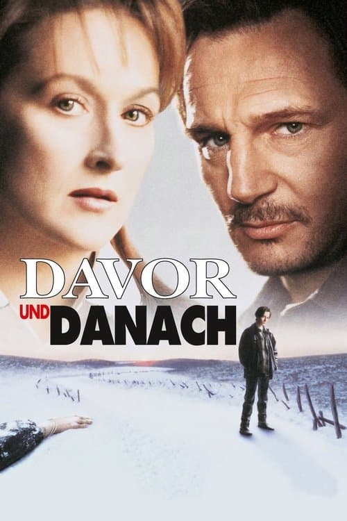 Davor und danach poster