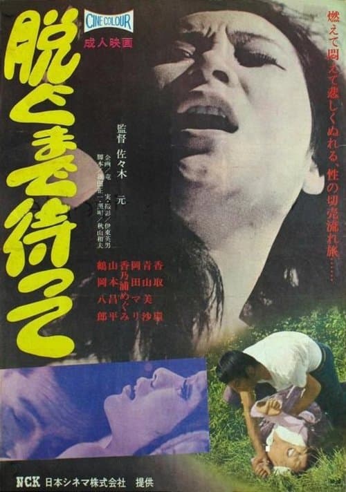 脱ぐまで待って poster