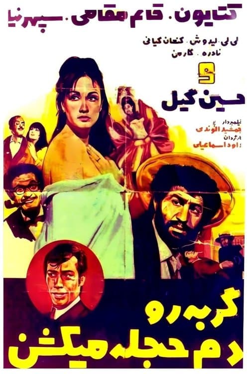 گربه را دم حجله می‌کشند poster