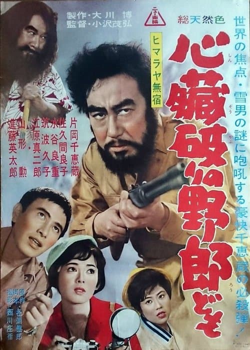 ヒマラヤ無宿　心臓破りの野郎ども poster