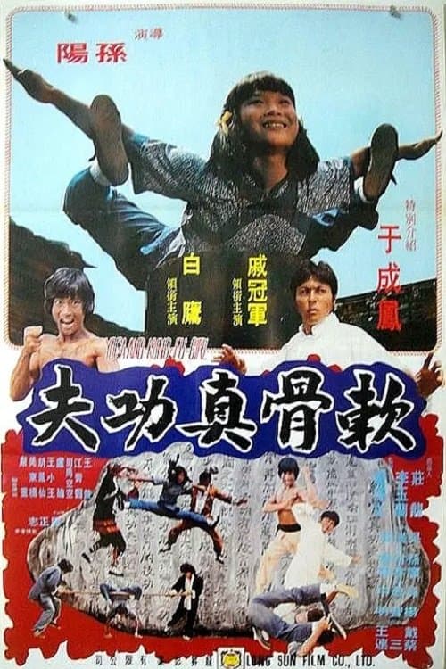 软骨真功夫 poster