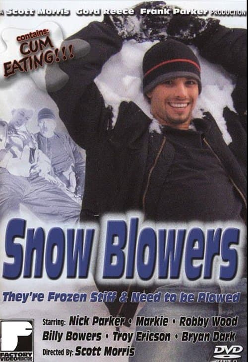 Snow Blowers poster