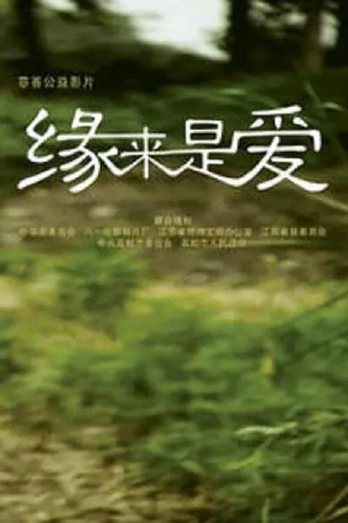 缘来是爱 poster