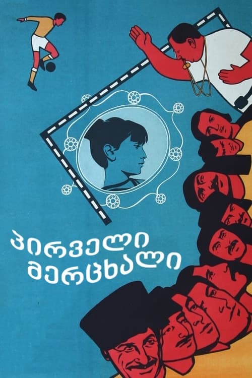 პირველი მერცხალი poster
