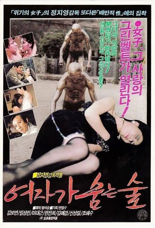여자가 숨는 숲 poster