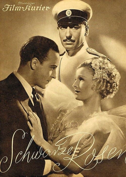 Schwarze Rosen poster