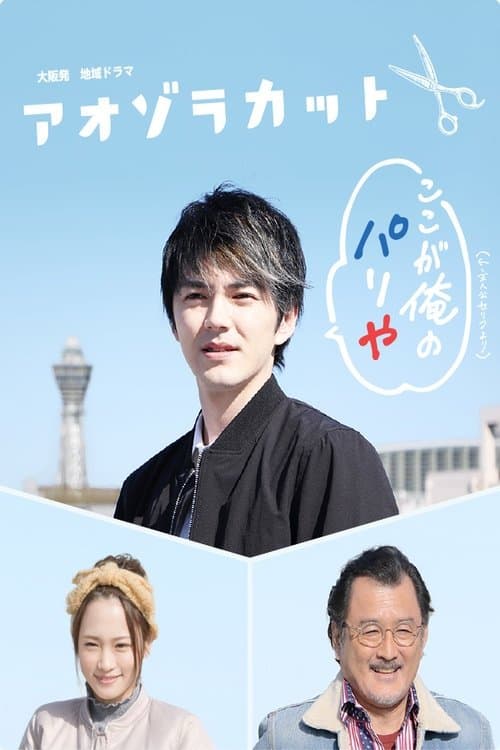 アオゾラカット poster