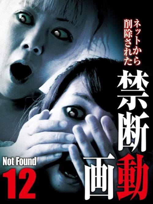 ネットから削除された禁断動画12 poster