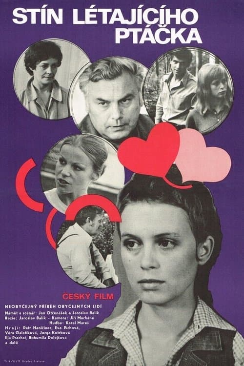 Stín létajícího ptáčka poster
