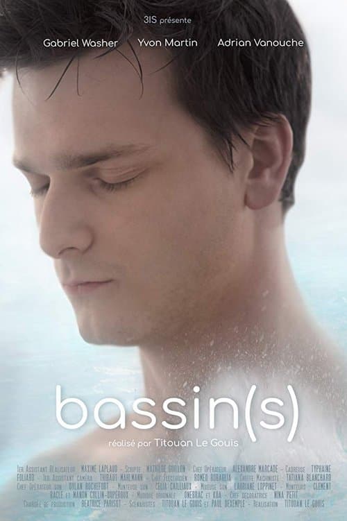 Bassin(s) poster