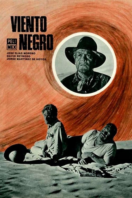 Viento negro poster
