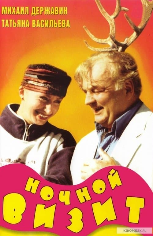 Ночной визит poster