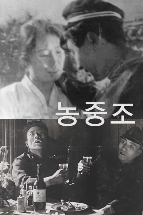 농중조 poster