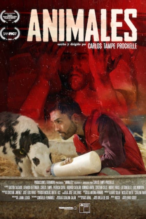 Animales poster