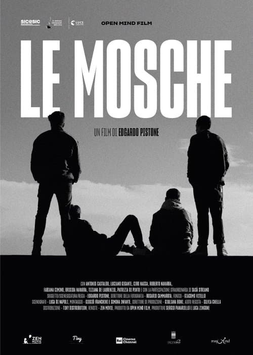 Le mosche poster