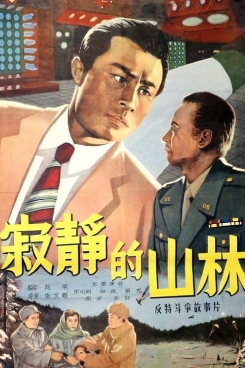 寂静的山林 poster
