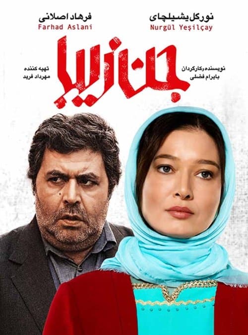 جن زیبا poster