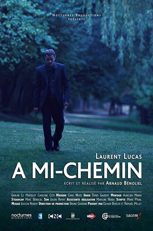À mi-chemin poster