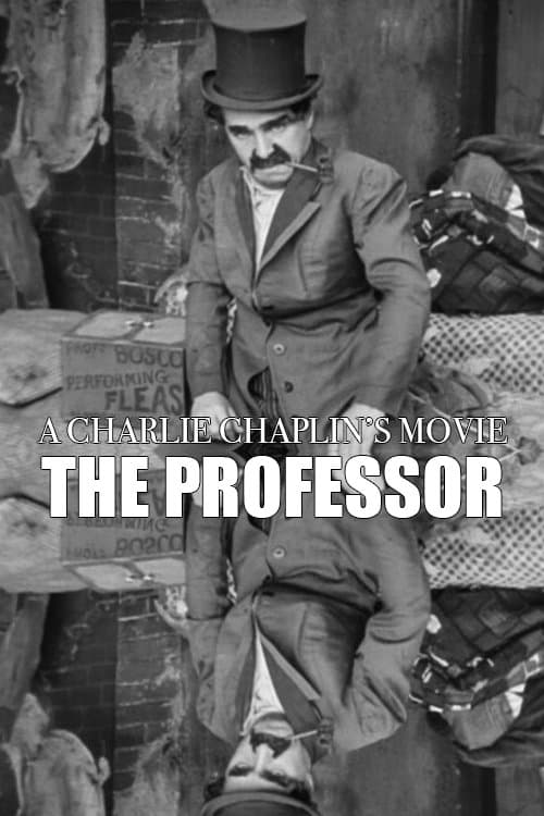 The Professor poster