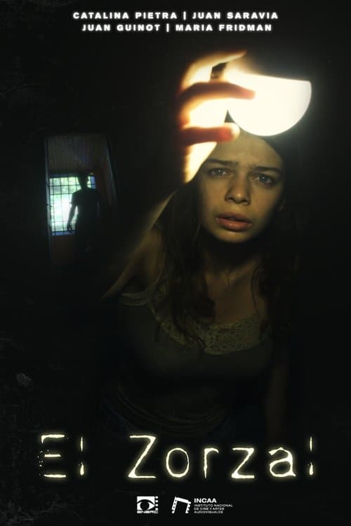 El zorzal poster
