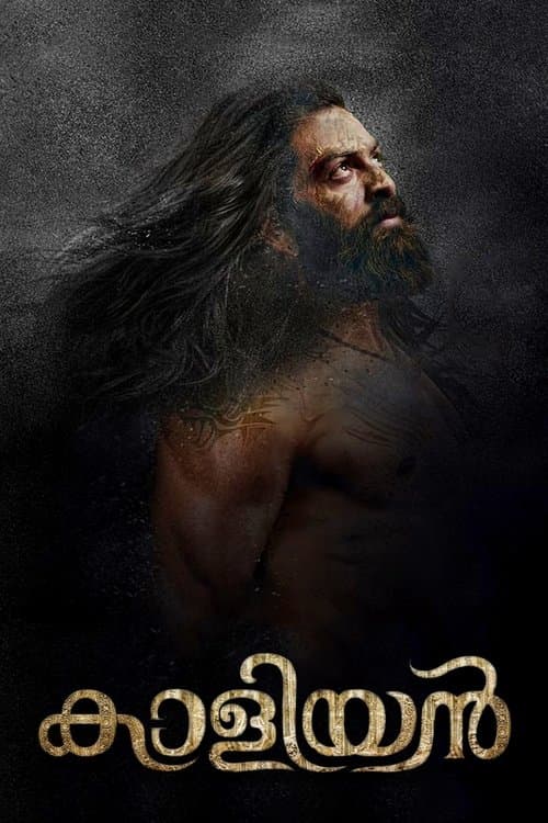 കാളിയൻ poster