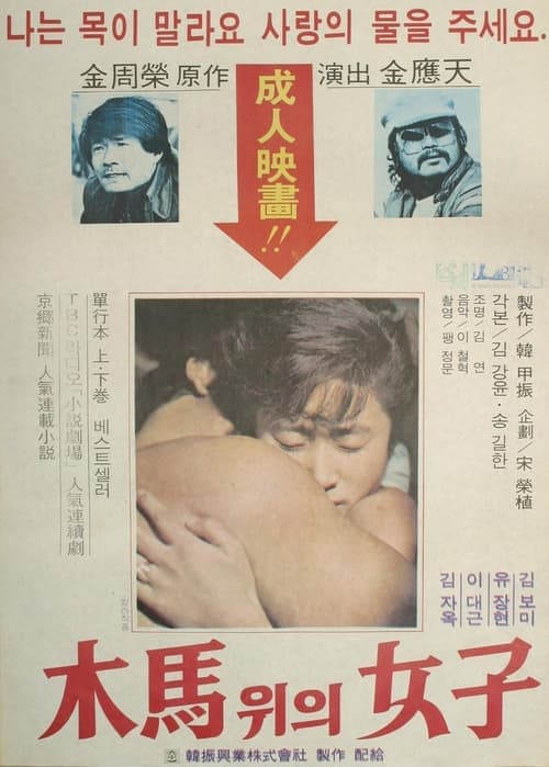 목마위의 여자 poster