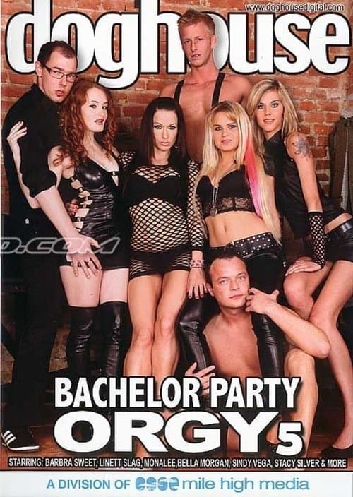 Bachelor Party Orgy 5 poster