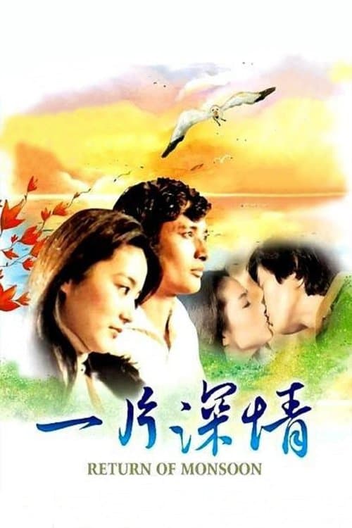 一片深情 poster