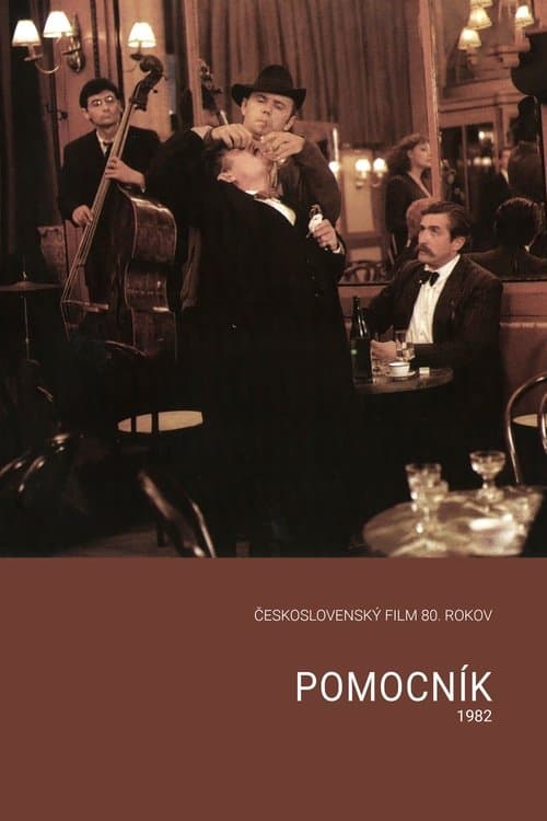 Pomocník poster