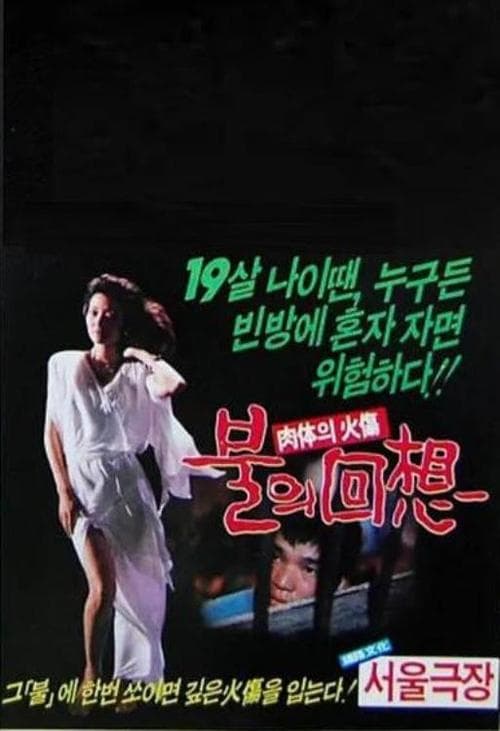 불의 회상 poster