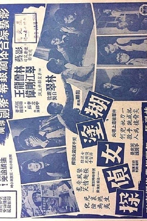 糊塗女偵探 poster