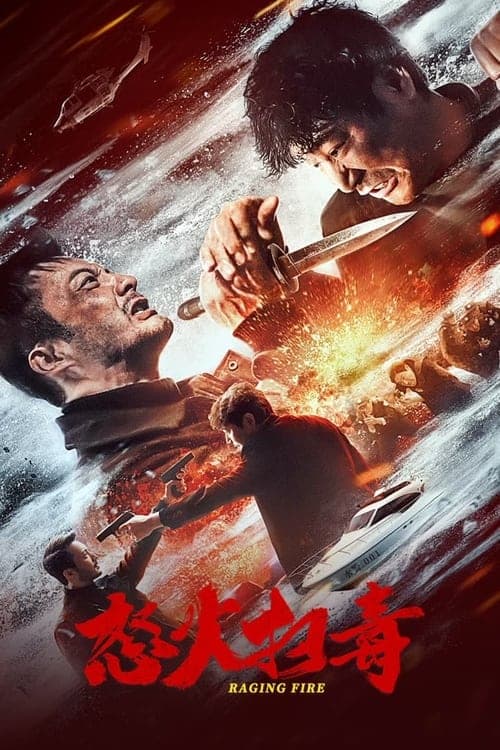 怒火扫毒 poster