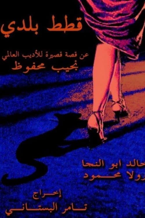 قطط بلدي poster