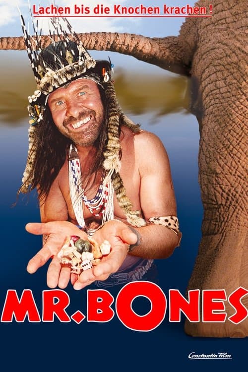 Mr. Bones poster