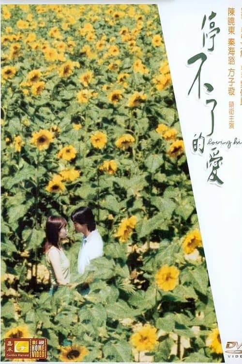 停不了的爱 poster